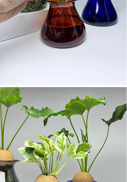 Nordic Glass Vase for Home Decor - Small Transparent Vase - Vase