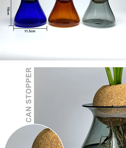 Nordic Glass Vase for Home Decor - Small Transparent Vase - Vase