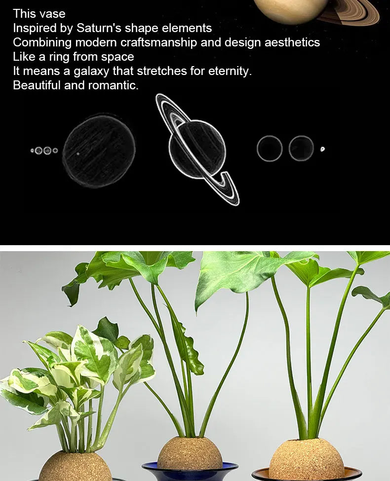 Nordic Glass Vase for Home Decor - Small Transparent Vase - Vase