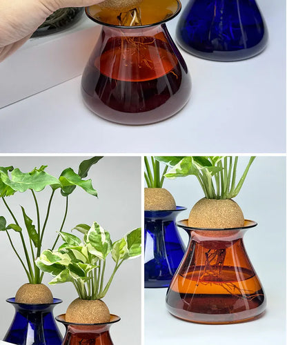 Nordic Glass Vase for Home Decor - Small Transparent Vase - Vase