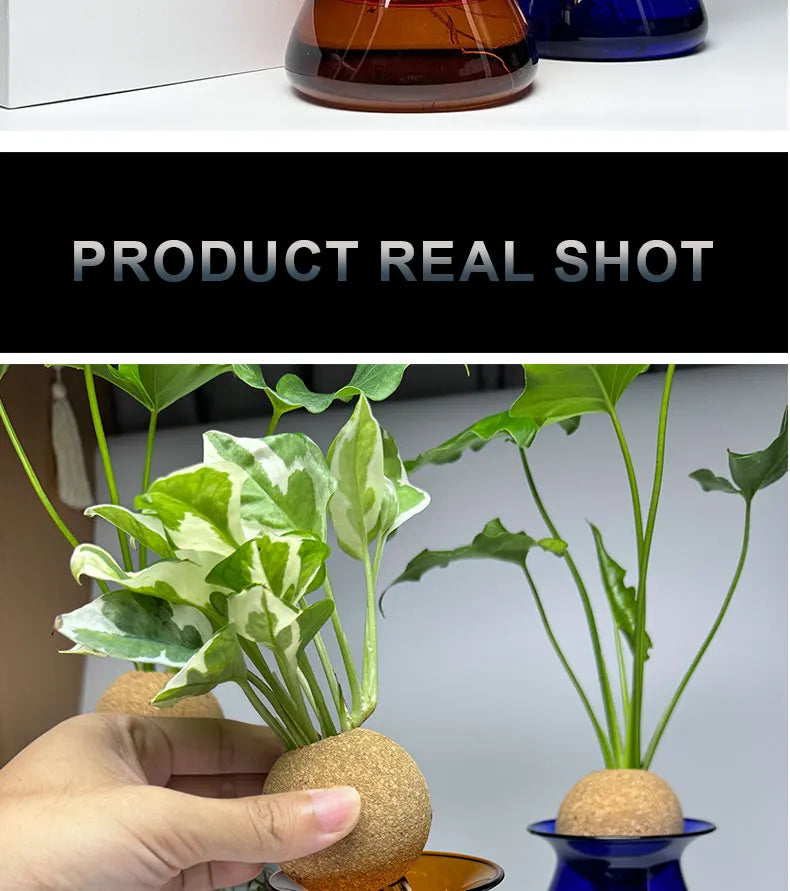 DecorBites™ Nordic Glass Vase for Home Decor - Small Transparent Vase