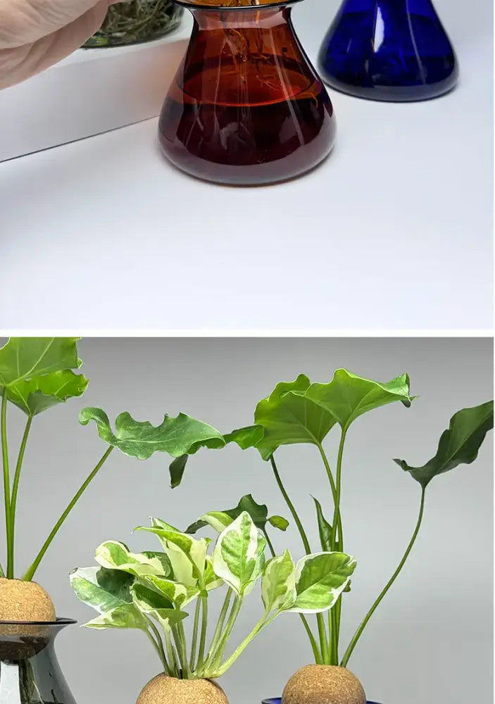 Nordic Glass Vase for Home Decor - Small Transparent Vase - Vase