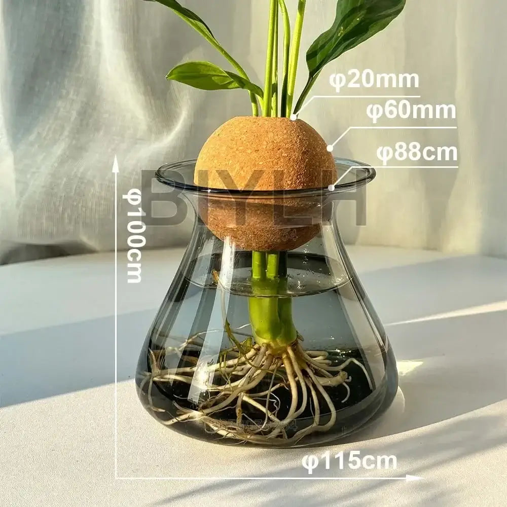 Decorbites™ nordic glass vase small transparent glass vase with cork insert and submerged roots for home decor