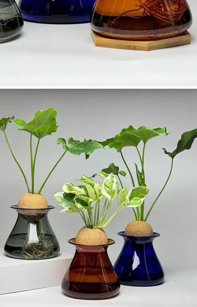 Nordic Glass Vase for Home Decor - Small Transparent Vase - Vase
