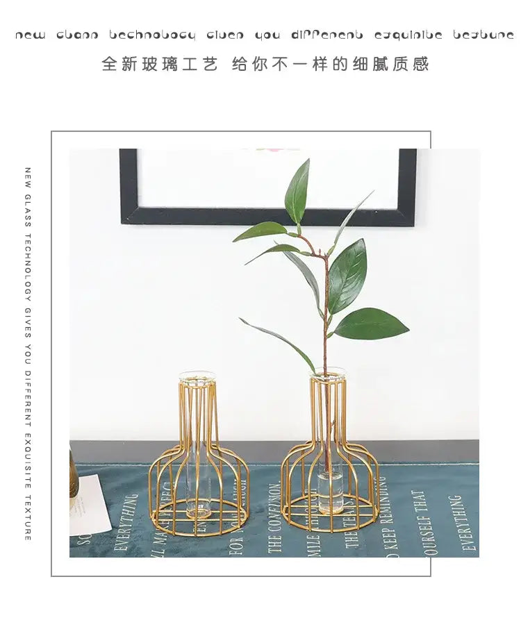 Nordic Iron Golden Hydroponic Vase with Dried Flowers - Vase