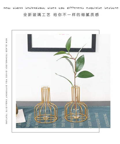 Nordic Iron Golden Hydroponic Vase with Dried Flowers - Vase