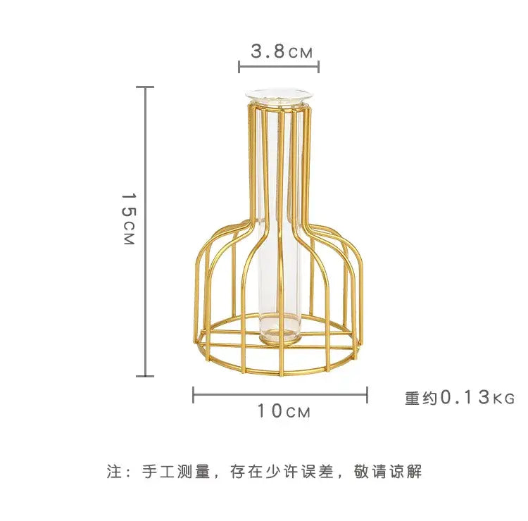 Nordic Iron Golden Hydroponic Vase with Dried Flowers - Vase