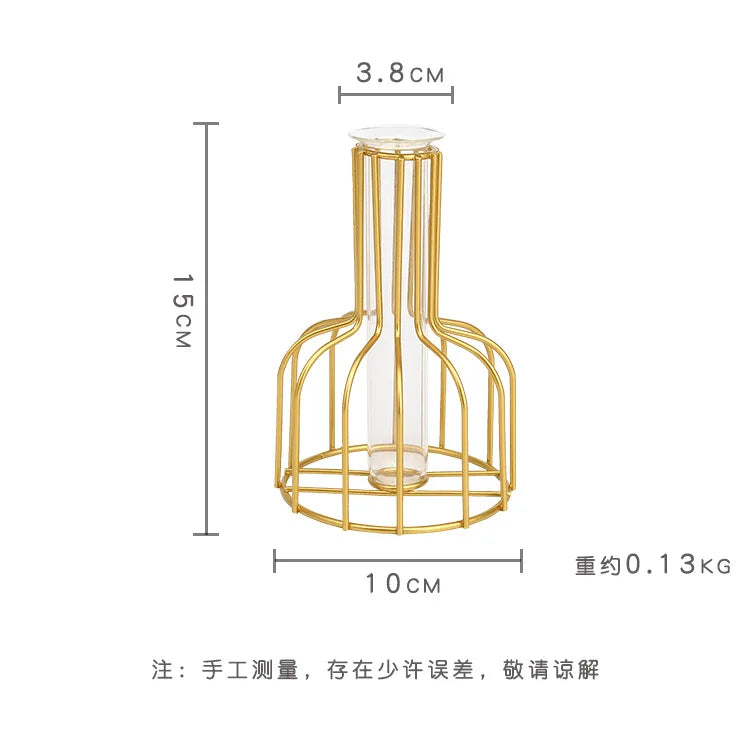 Nordic Iron Golden Hydroponic Vase with Dried Flowers - Vase