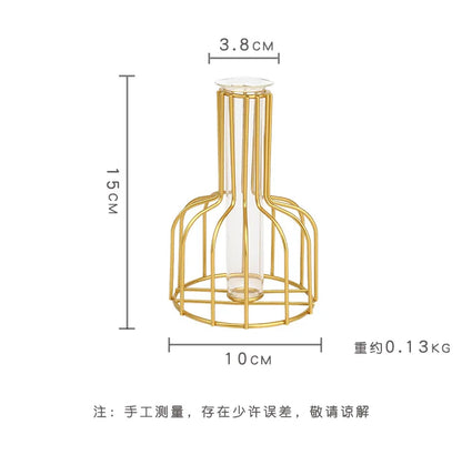 Nordic Iron Golden Hydroponic Vase with Dried Flowers - Vase