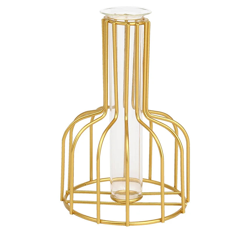 Nordic Iron Golden Hydroponic Vase with Dried Flowers - Vase