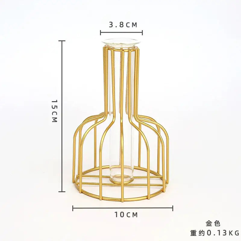 Decorbites™ nordic iron golden hydroponic vase with gold-toned metal cage encasing clear glass for dried flowers