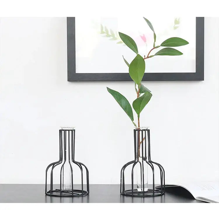 Decorbites™ nordic iron golden hydroponic vase with black metal wireframe and clear glass holding green stem