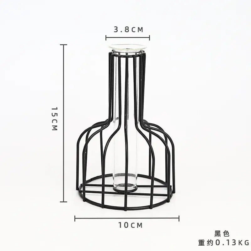 DecorBites™ nordic iron golden hydroponic vase with black metal wireframe and clear glass bottle insert holding dried flowers