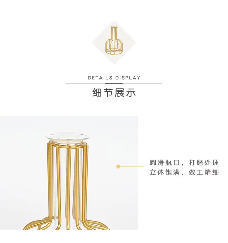 Nordic Iron Golden Hydroponic Vase with Dried Flowers - Vase