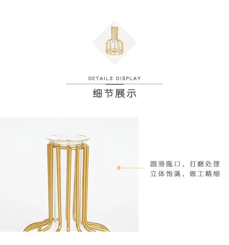 Decorbites™ nordic iron golden hydroponic vase with a gold metal bottle stand and clear glass base for dried flowers