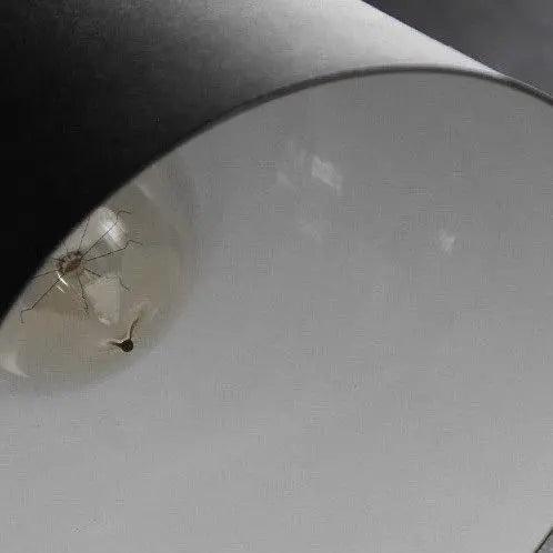 Nordic Minimalist Wall Lamp