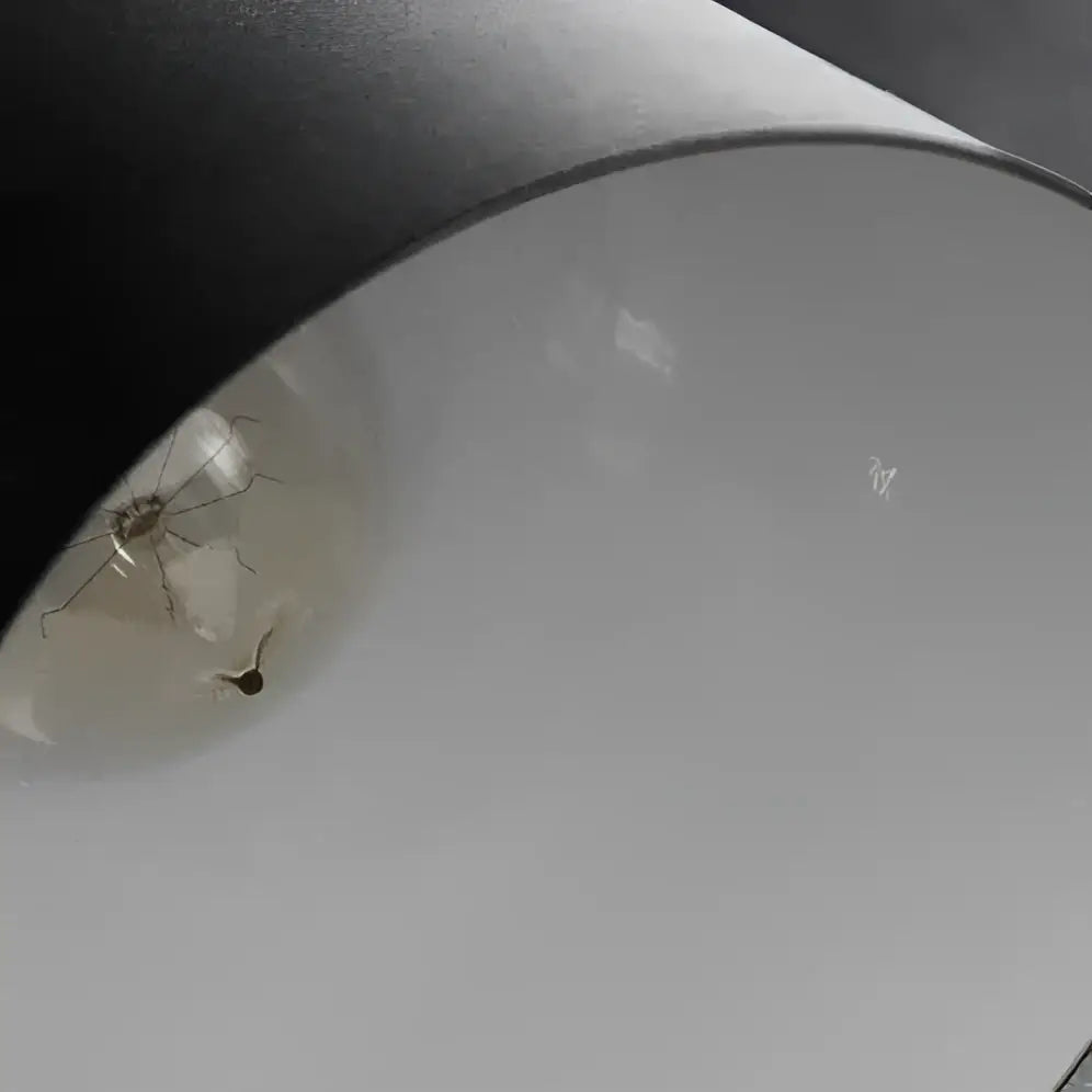 DecorBites™ nordic minimalist wall lamp with clear glass bulb and visible filament inside dark gray minimalist wall shade