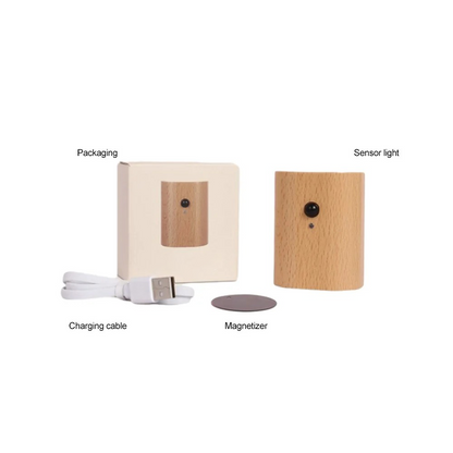 Odin Motion Sensor Battery Operated Wall Sconce