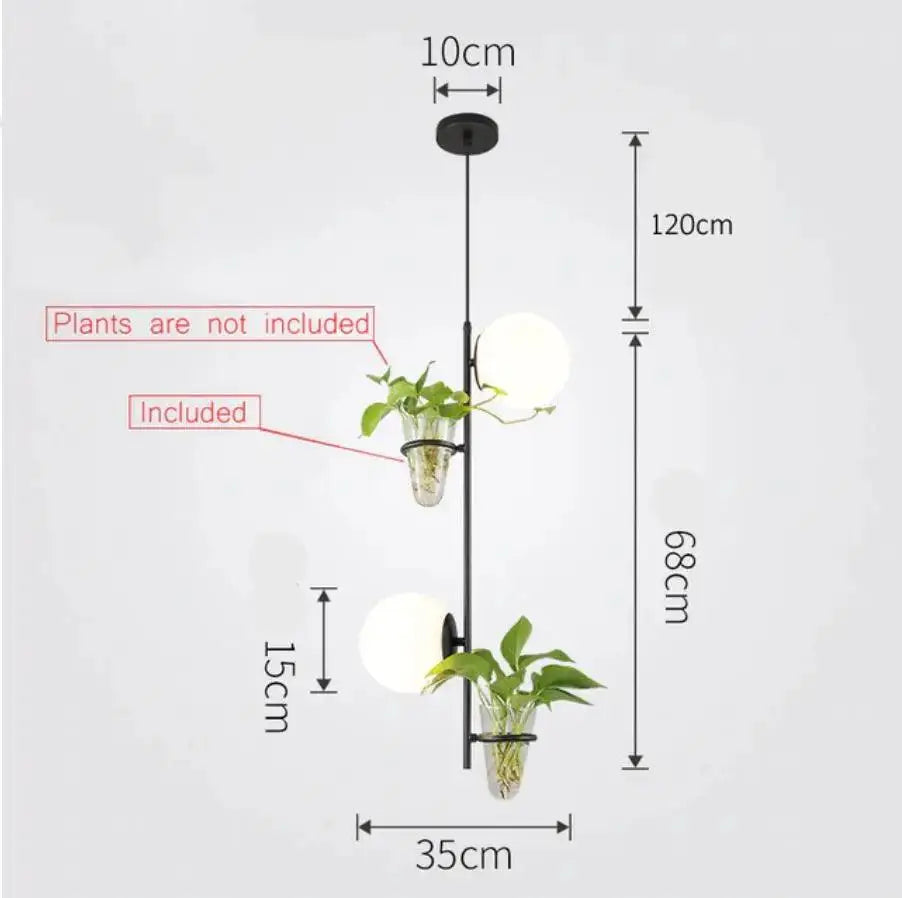 DecorBites™ black metal pendant planter light with clear glass terrariums, green plants, and frosted white bulbs