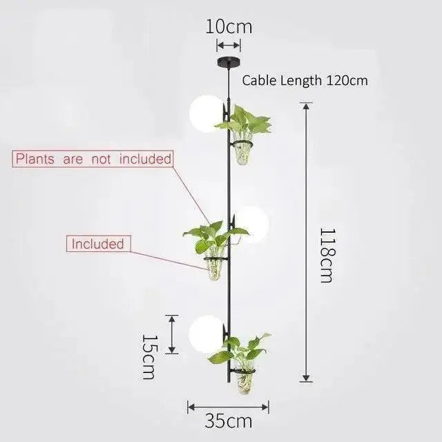 Black vertical hanging pendant planter light with three clear glass terrariums holding green leafy plants by DecorBites™