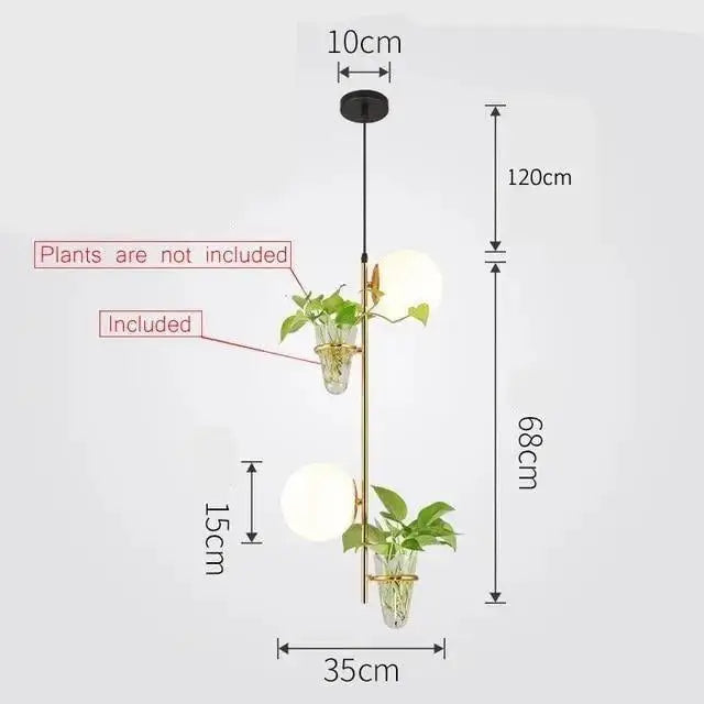 Gold-toned decorbites pendant planter light with two frosted glass globes and clear glass planters holding green plants