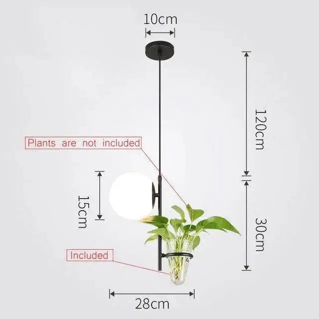 Modern black metal pendant planter light with clear glass globe and green leafy plant in transparent glass holder by decorbites