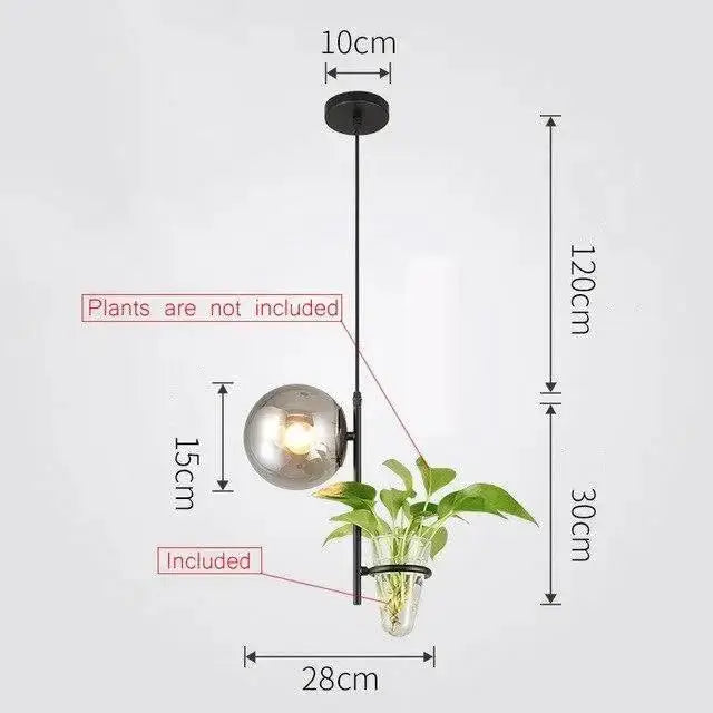 Modern black metal pendant planter light with spherical glass globe and clear glass hanging planter by decorbites