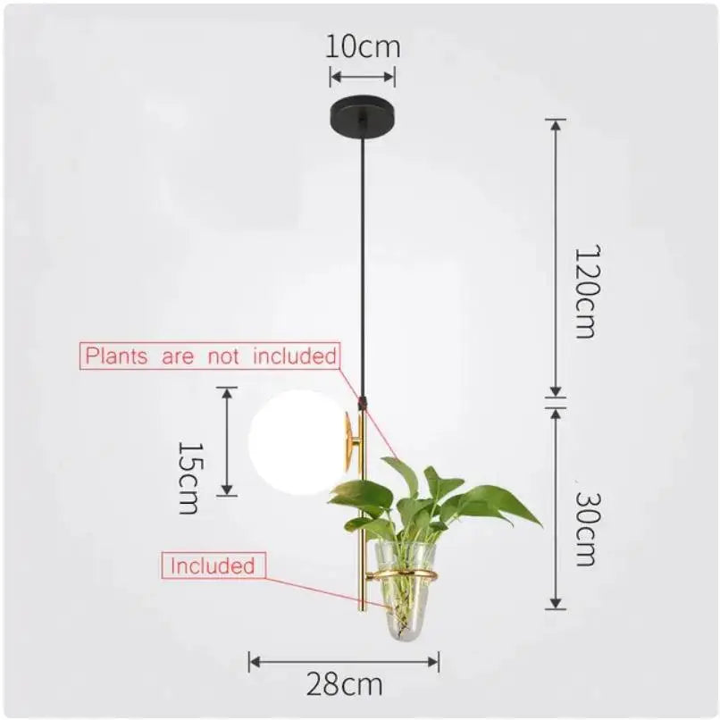 DecorBites™ pendant planter light with black mount, brass frame, clear glass vase, green foliage, and white globe bulb
