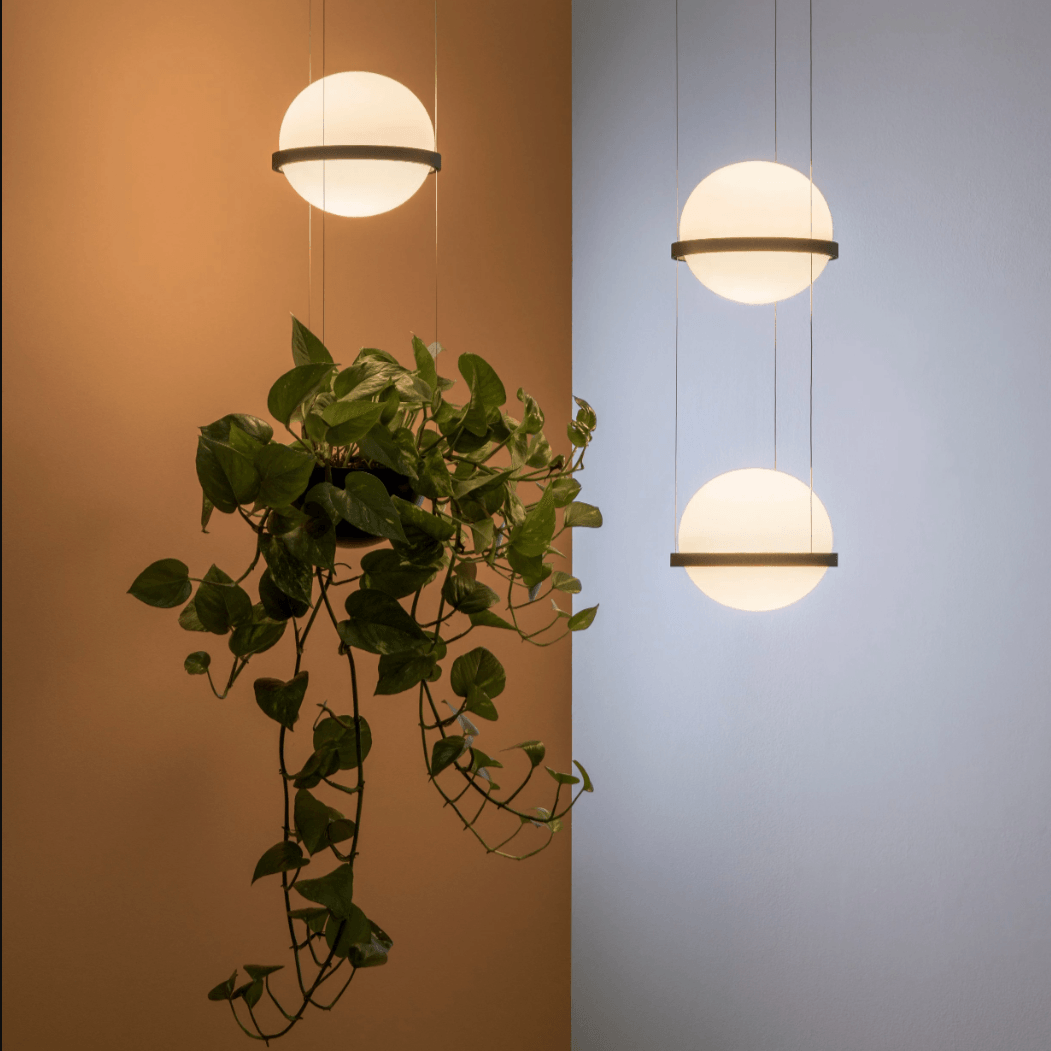Planter Light Pendant Chandelier
