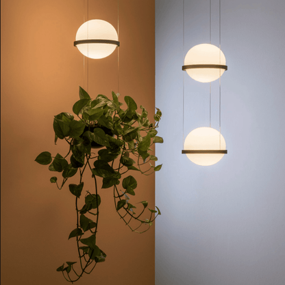 Planter Light Pendant Chandelier