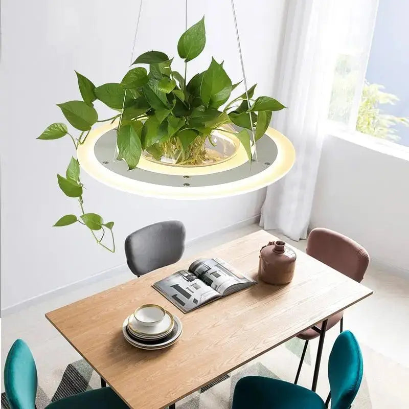 DecorBites™ planter light table pendant with circular illuminated base and glass bowl housing green foliage
