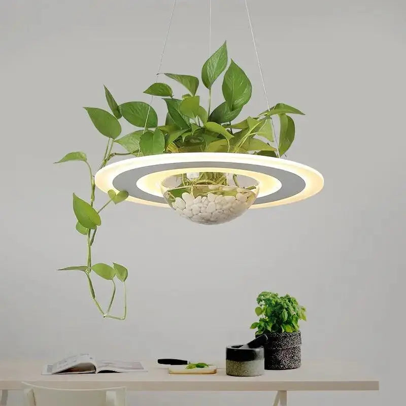 Modern DecorBites™ planter light table pendant with double-ring LED illumination and central glass bowl planter