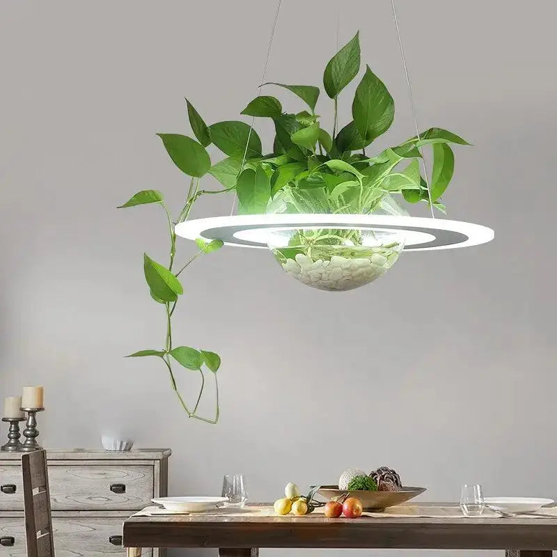 Decorbites™ planter light table pendant with sleek white circular frame and glass globe housing vibrant green vines