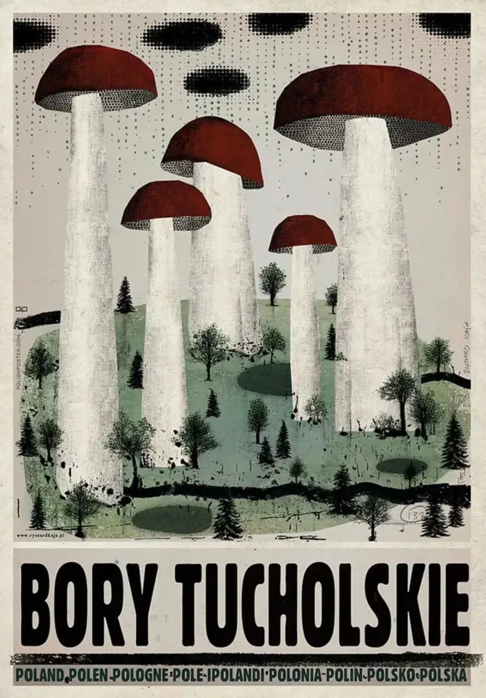 Vintage-style decorbites poland city posters canvas prints featuring red-capped mushrooms on green forest canvas