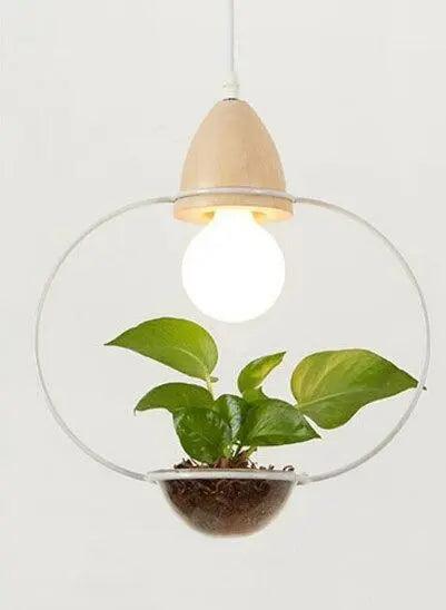 Pot Pendant Planter Light - White / C