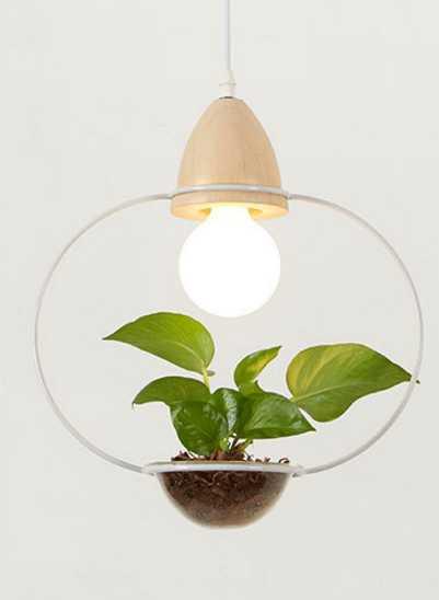 Pot Pendant Planter Light