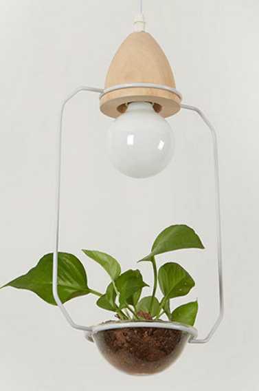 Pot Pendant Planter Light - White / B