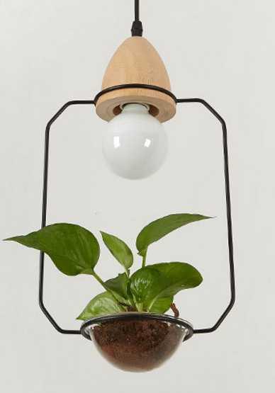 Pot Pendant Planter Light - Black / B