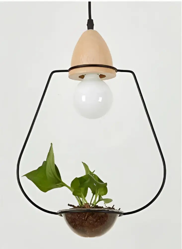 DecorBites™ modern pendant planter light with black wire frame, wooden top, clear glass globe, and terracotta pot