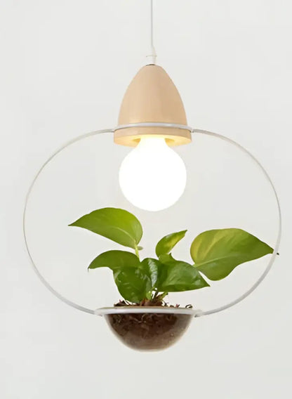 DecorBites™ pot pendant planter light with clear glass dome, wooden top, and exposed bulb illuminating a green plant