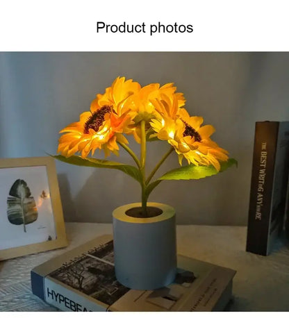 Decorbites™ rechargeable sunflower led night light with glowing yellow flower and light blue cylindrical base for bedroom