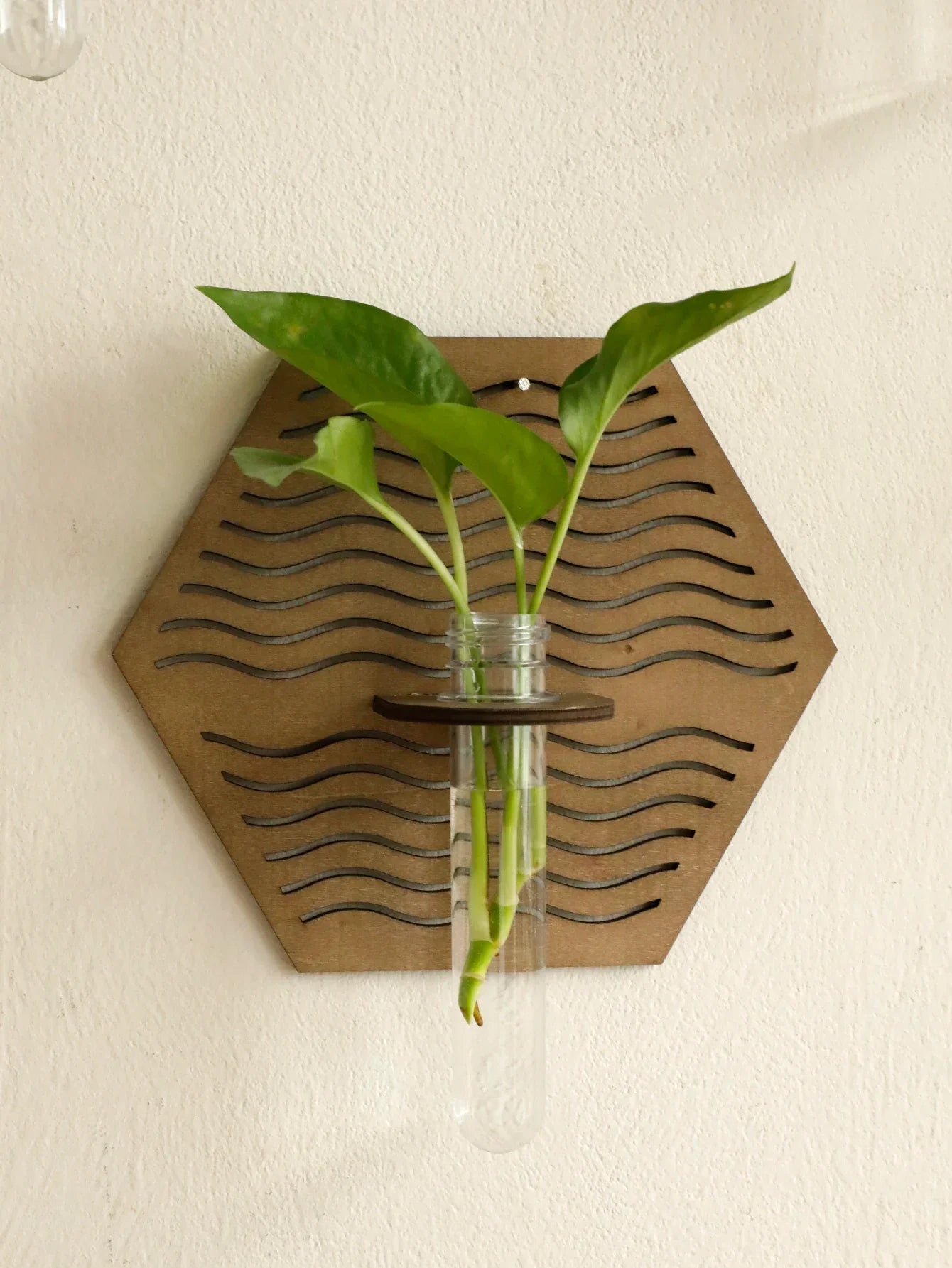 Rustic Wood Wall Vase for Greenery - Vase