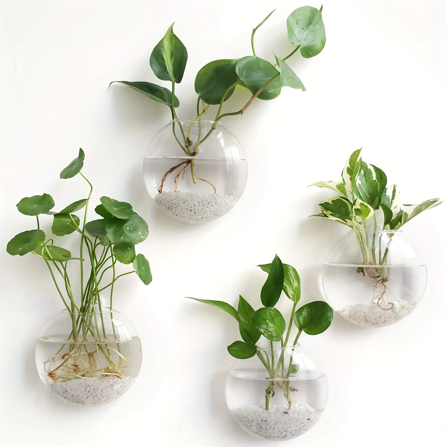 Self-Watering Glass Terrarium Set for Home Décor - 2PCS - Vase