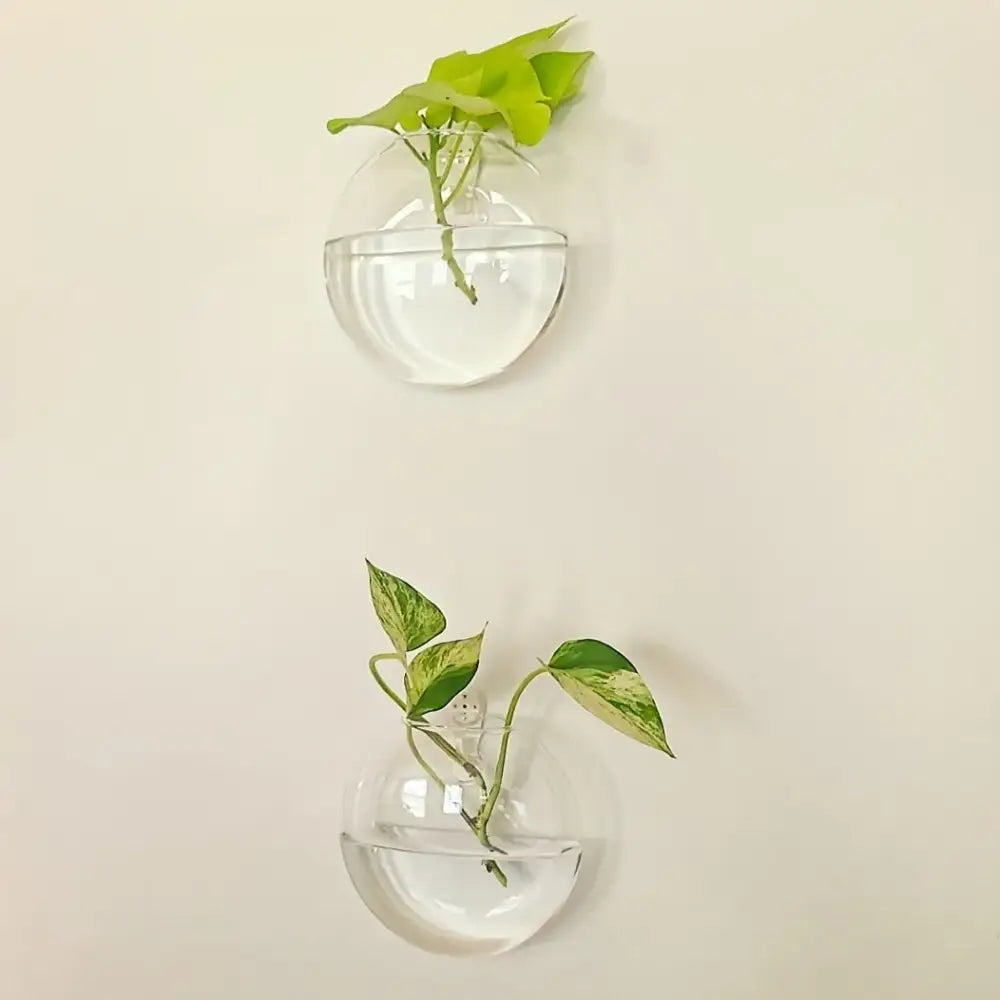 Decorbites™ self-watering glass terrarium set with clear spherical wall-mounted planters holding green vines