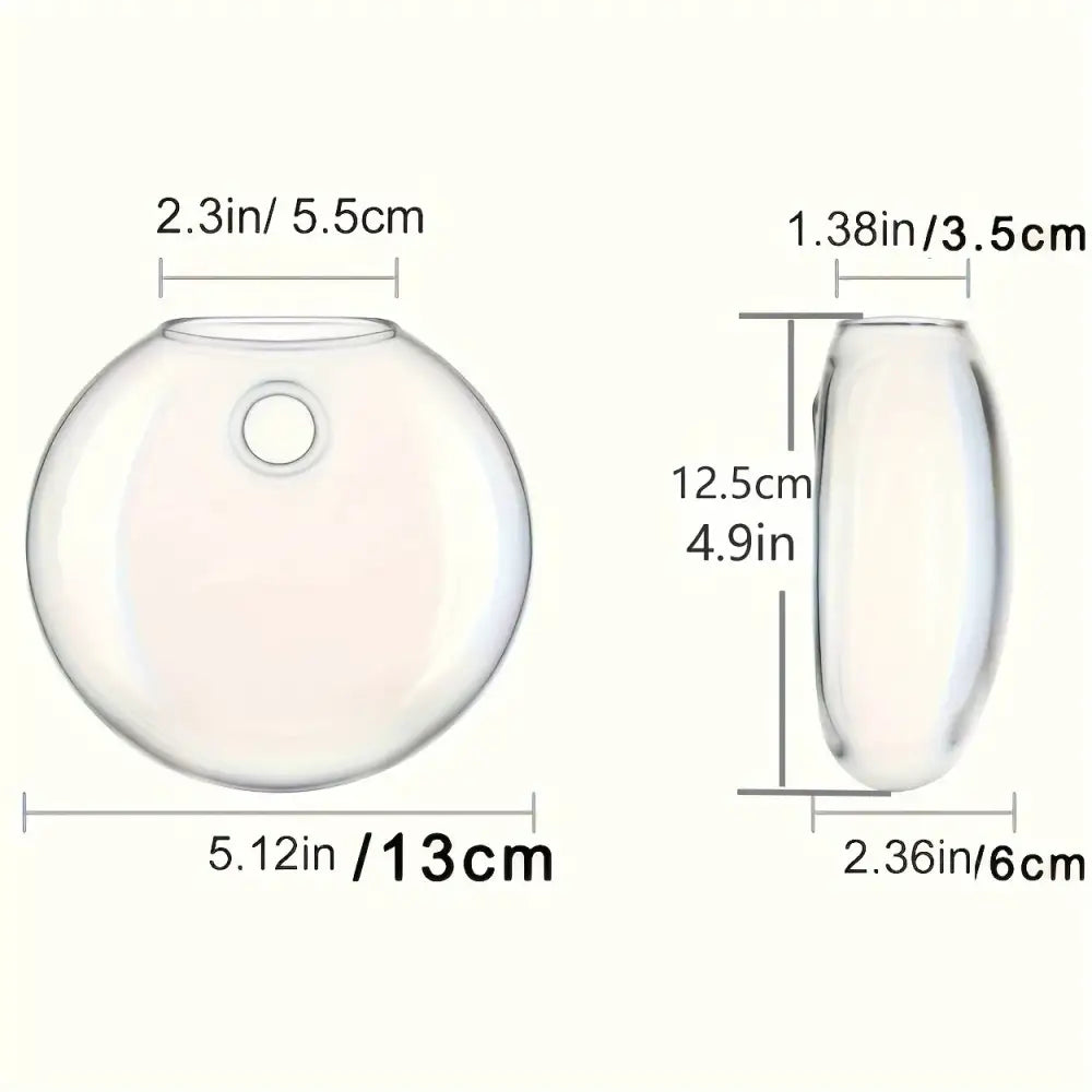 Decorbites™ self-watering glass terrarium set featuring clear glass hanging vases with round and oval shapes