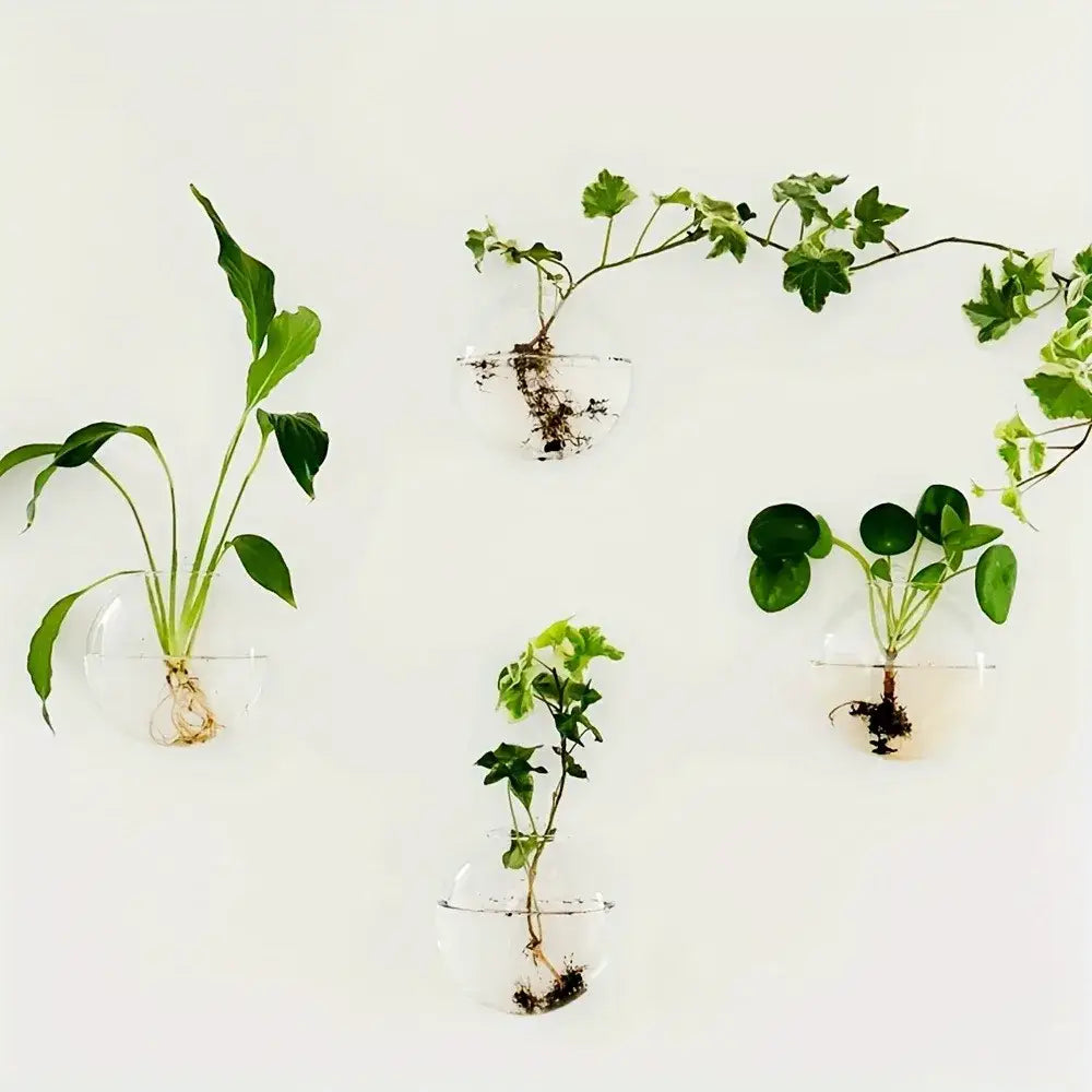 DecorBites™ self-watering glass terrarium set with clear wall-mounted planters showcasing green plants and roots