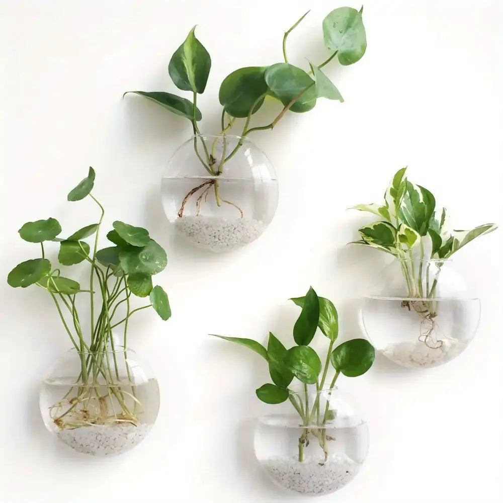 DecorBites™ self-watering glass terrarium set with clear spherical planters, green plants, and white gravel for home décor