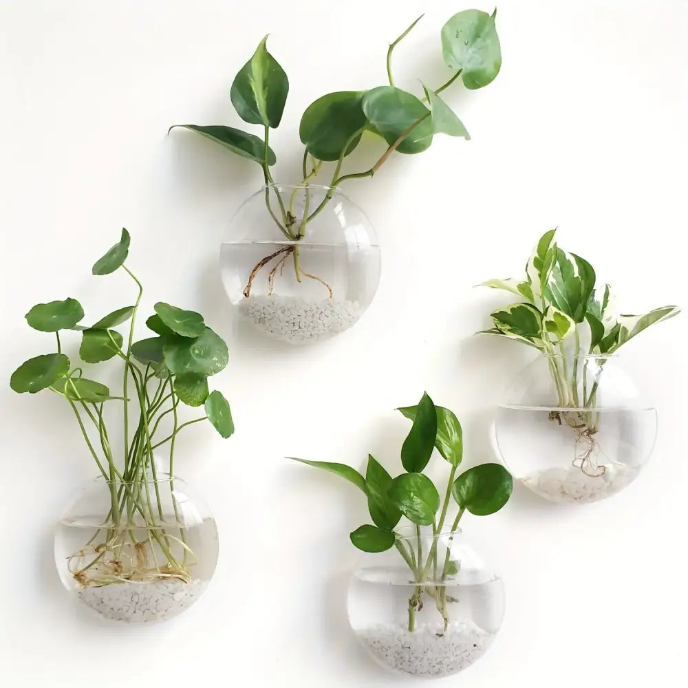 DecorBites™ self-watering glass terrarium set with clear spherical wall-mounted planters and green leafy plants