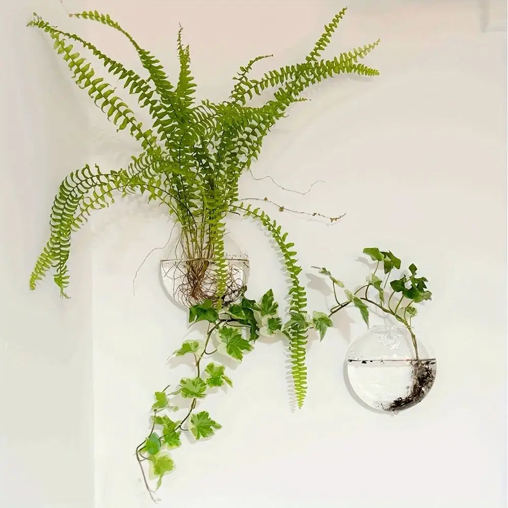 DecorBites™ self-watering glass terrarium set with clear spherical planters holding green ferns and ivy for home décor