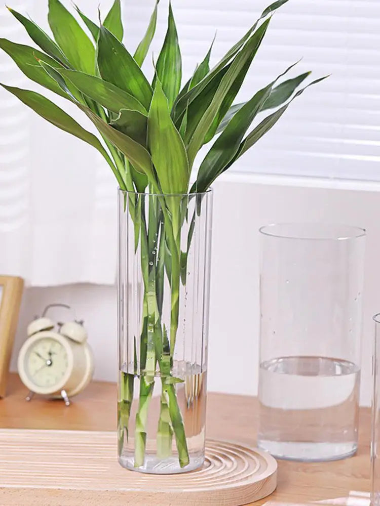 Shatterproof Clear Acrylic Flower Vase - Vase